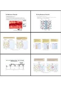 Cell Membrane Potential Resting Membrane Potential