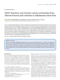 GDNF, Neurturin, and Artemin Activate and Sensitize Bone Afferent Neurons and Contribute to Inflammatory Bone Pain