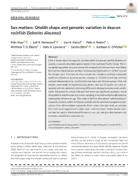 Otolith Shape and Genomic Variation in Deacon Rockfish (Sebastes Diaconus)