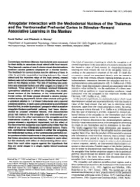 Amygdalar Interaction with the Mediodorsal Nucleus of the Thalamus and the Ventromedial Prefrontal Cortex in Stimulus-Reward Associative Learning in the Monkey