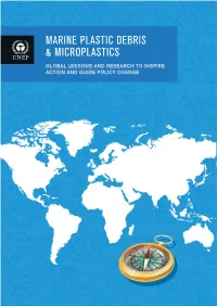 Marine Plastic Debris and Microplastics – Global Lessons and Research to Inspire Action and Guide Policy Change