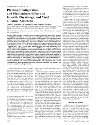 Planting Configuration and Plasticulture Effects on Growth