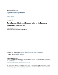 The Influence of Sediment Characteristics on the Burrowing Behavior of Ensis Directus