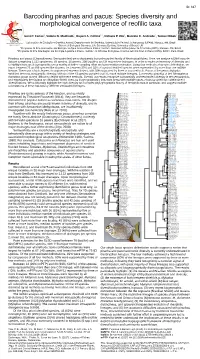 Barcoding Piranhas and Pacus: Species Diversity and Morphological Convergence of Reofilic Taxa