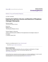 Exploring the Synthesis, Structure, and Reactivity of Phosphorus- Chalcogen Heterocycles