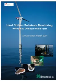 Hard Bottom Substrate Monitoring Horns Rev Offshore Wind Farm