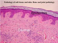 Pathology of Soft Tissue and Skin. Bone and Joint Pathology. Pathology of Soft Tissue and Skin