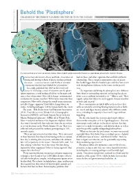 Plastisphere’ COLONIES of MICROBES FLOURISH on TINY BITS in the OCEAN by Lonny Lippsett