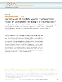Spatial Maps of Prostate Cancer Transcriptomes Reveal an Unexplored Landscape of Heterogeneity