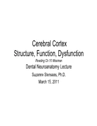 Cerebral Cortex Structure, Function, Dysfunction Reading Ch 10 Waxman Dental Neuroanatomy Lecture Suzanne Stensaas, Ph.D