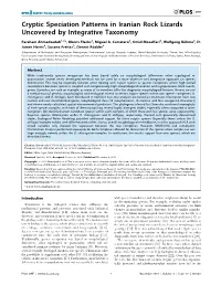 Cryptic Speciation Patterns in Iranian Rock Lizards Uncovered by Integrative Taxonomy