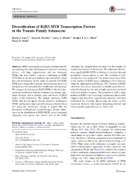 Diversification of R2R3-MYB Transcription Factors in the Tomato