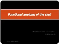 Functional Anatomy of Skull