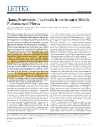 Homofloresiensis-Like Fossils from the Early Middle Pleistocene of Flores
