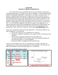 Lecture 20 Eukaryotic Genes and Genomes Ii