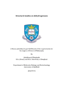 Structural Studies on Dehydrogenases