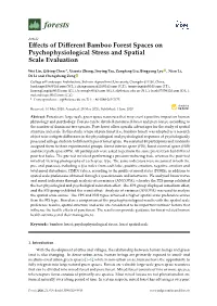 Effects of Different Bamboo Forest Spaces on Psychophysiological