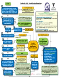 Flowchart.Recentpdf