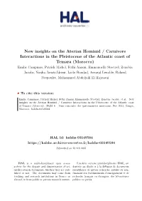 New Insights on the Aterian Hominid / Carnivore Interactions in The