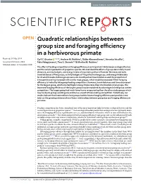Quadratic Relationships Between Group Size and Foraging Efficiency in a Herbivorous Primate