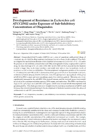 Development of Resistance in Escherichia Coli ATCC25922 Under Exposure of Sub-Inhibitory Concentration of Olaquindox