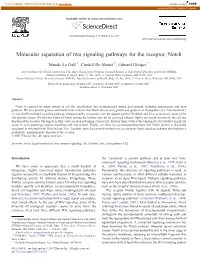 Molecular Separation of Two Signaling Pathways for the Receptor, Notch