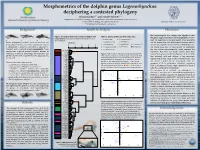 Morphometrics of the Dolphin Genus Lagenorhynchus: Deciphering A