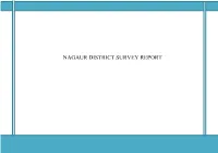 Nagaur District Survey Report