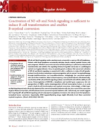 Coactivation of NF-Kb and Notch Signaling Is Sufficient to Induce B