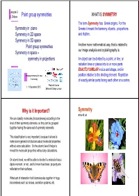 Point Group Symmetries Why Is It Important?