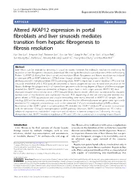 Altered AKAP12 Expression in Portal Fibroblasts and Liver Sinusoids