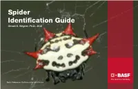 BASF Spider Identification Guide