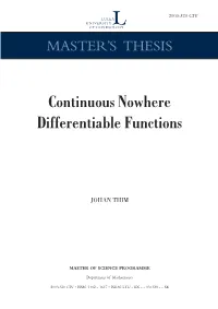 Continuous Nowhere Differentiable Functions