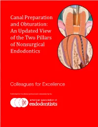 Canal Preparation and Obturation: an Updated View of the Two Pillars of Nonsurgical Endodontics