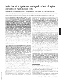 Induction of a Bystander Mutagenic Effect of Alpha Particles in Mammalian Cells