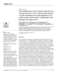 Luffa Acutangula and Luffa Aegyptiaca in Sri Lanka Using Morphometric, Organoleptic and Phylogenetic Approaches