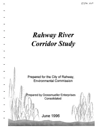 Rahway River Corridor Study