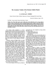S. CAVDAR and U. SEHIRLI the Extensor Indicis (Proprius)