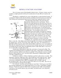 Bowel Function Anatomy