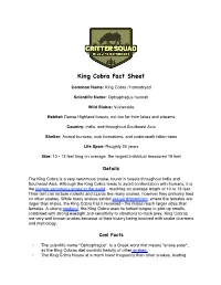 King Cobra Fact Sheet