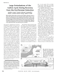 Large Perturbations of the Carbon Cycle During Recovery from The