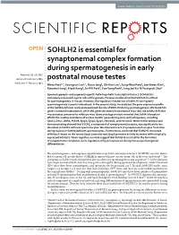SOHLH2 Is Essential for Synaptonemal Complex Formation During Spermatogenesis in Early Postnatal Mouse Testes