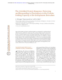 The Unfolded Protein Response: Detecting and Responding to Fluctuations in the Protein- Folding Capacity of the Endoplasmic Reticulum