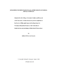 Thesis.Pdf (5.344Mb)