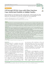CEP104 and CEP290; Genes with Ciliary Functions Cause Intellectual Disability in Multiple Families