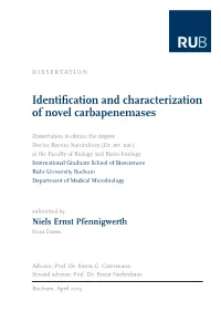 Identifiication and Characterization of Novel Carbapenemases