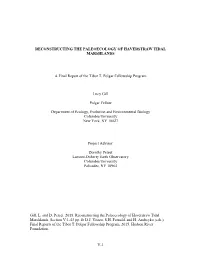 V-1 Reconstructing the Paleoecology Of