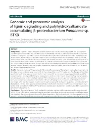 Genomic and Proteomic Analysis of Lignin Degrading and Polyhydroxyalkanoate Accumulating Β‑Proteobacterium Pandoraea Sp