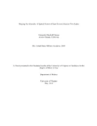 Shaping the Altamaha: a Spatial History of Saint Simons Island at Two Scales