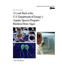 Biodiesel from Algae